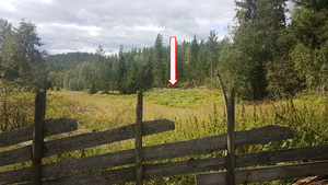 Lw Nybråten under Berggården (Nakkerud) 2019.png