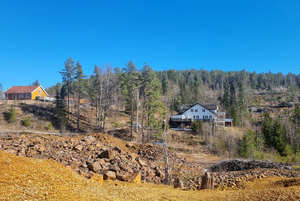 Lw Raubakken under Ertelia (Nakkerud) 2025.png