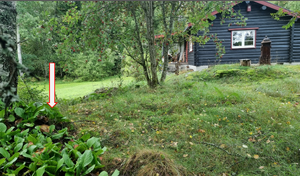 Lw Steinstua under Kolbjørnrud (Nakkerud) 2024.png