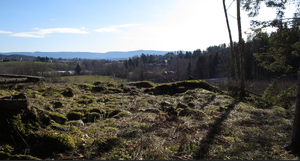 Lw Svartbråten under Skamarka (Tyristrand).png