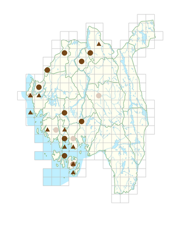 Lycopersicon esculentum.png