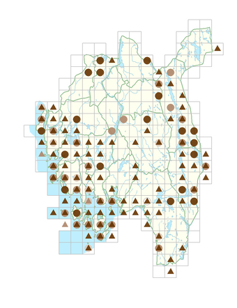 Lycopus europaeus.png