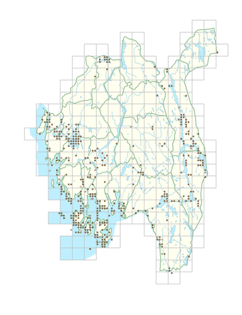 Lycopus europaeus 1.png