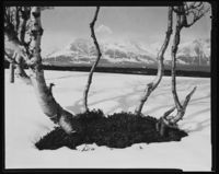 17. Lyngen - no-nb digifoto 20150603 00013 NB MIT FNR 27675.jpg