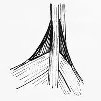 Lyrodder på øverste bord.