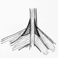 Små lyrodder, på nest øverste bord.