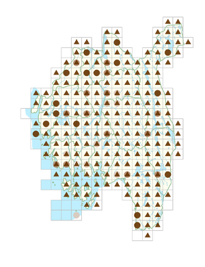 Lysimachia europaea.png