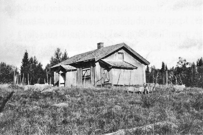 Husmannsplasser På Brandval Finnskog Lokalhistoriewikino 