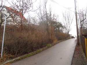 Mårveien Oslo 2015.jpg