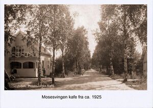 Måsasvingen.jpg