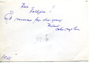 Mønstring bakside.jpg