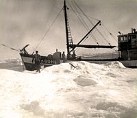 Dette er MB «Pokal» i Danskestredet på Håkjerringfiske og litt selfangst