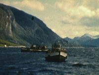 MB «Timann» a. «Timann» har fått slepar på «Rolf» og slepar pent unna så nota held forma medan ein "snurpar inn"