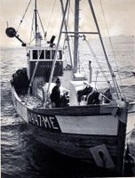 N-477-ME var den gamle «Sørbøen» som i 1976 vart avløyst av nybygde N-4-ME og som overtok namnet «Sørbøen». Fotograf til dette bildet må gjerne melde seg så namnet kan leggast inn. Sjå båtopplysningar i artikkelen.