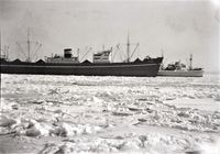 MS Texas (Wilhelm Wilhelmsen) ligger i isen rett ved land utenfor Filtvet sist i februar 1954. En svensk eller finsk lastebåt, i charter for Fred Olsen, passerer rett på utsiden på vei ut. (Foto: Ivar K Iversen)