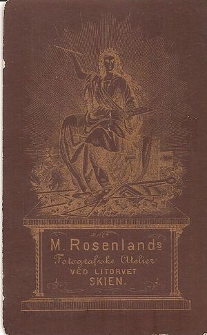 M Rosenland, Skien (revers brunrød og gull).jpg