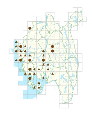 Mahonia aquifolium.png