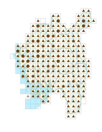 Maianthemum bifolium.png