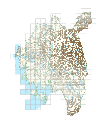 Maianthemum bifolium 1.png