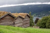 Setermiljø på Maihaugen med Mjøsa i bakgrunnen. Foto: Leif-Harald Ruud (2013).
