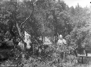 Mann i hagen (RHB-1902).jpg