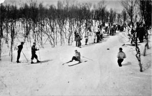 Mannefall i Folkeparken.jpg