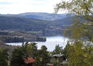 Maridalsvannet sett fra Grefsenkollen 2015.jpg