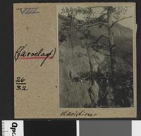 184. Maristien - no-nb digifoto 20160413 00120 bldsa EYDE 5 07A 069.jpg