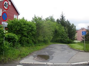 Marits vei Oslo 2015.jpg