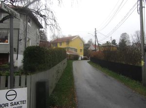 Markstien Oslo 2014.jpg