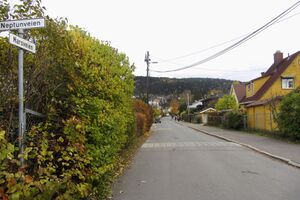 Marsveien Oslo 2013-red.jpg