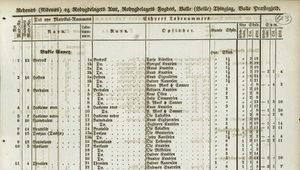 Matrikkelen 1838 Bykle anneks utsnitt.jpg