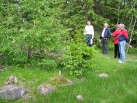 Medlemmer av Eiker Historielags gotiske gruppe ved tuftene etter plassen.