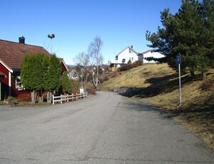 Meklenborglia Oslo 2015.jpg