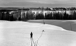 Melbyjordene var et skieldorado. Her er Melbygårdene sett fra Tærud i 1965, et par år etter kom motorveien. Foto Gunnar Søderstrøm.