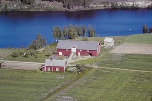 Mellem søndre gnr. 43 3 Nesteby Kongsvinger kommune.jpg