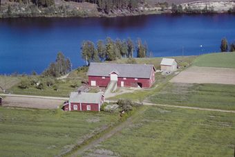 Mellem søndre gnr. 43 3 Nesteby Kongsvinger kommune.jpg