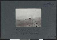 203. Melleskjær mellem Ula og Kjærringvik. Fjeldflate - no-nb digifoto 20160317 00377 bldsa NGU0058.jpg