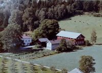 473. Mellom-Hoen, Hokksund - WF228.jpg