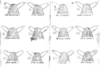 371. Merkebok Tustna 079-090.png