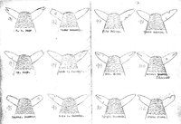 372. Merkebok Tustna 091-102.png