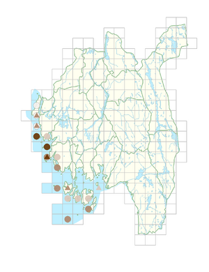Mertensia maritima.png