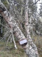 Metalskilt satt opp på Gamle Disenvollen av Røgeberg.
