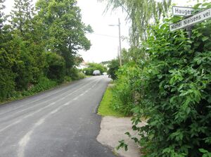 Michel Nielsens vei Oslo 2014.jpg