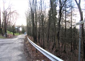 Micheletveien Oslo 2013.jpg