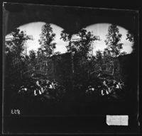 71. Middagsrast i Verdal - NB bldsa OTO0853 A.jpg