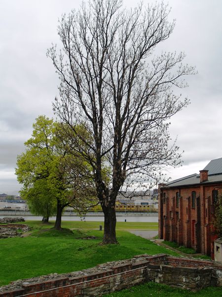 Fil:Middelalderparken 2.JPG