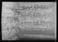 447. Midgar, Rauland - no-nb digifoto 20160223 00377 NB MIT FNR 02232.jpg