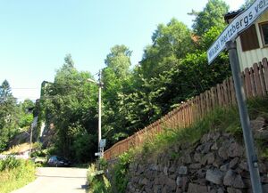 Mikael Hertzbergs vei Oslo 2013.jpg