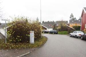 Mina Beiteplukks vei Oslo 2014 red.jpg